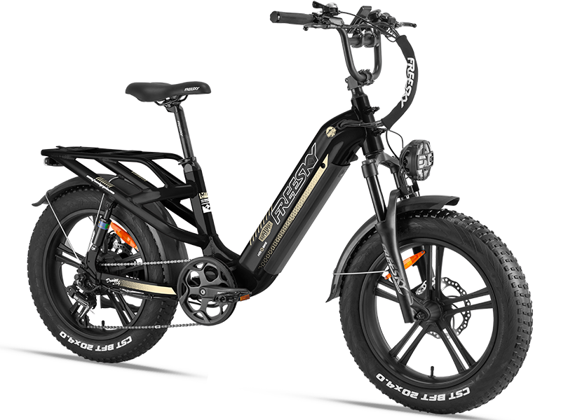 Used eBike