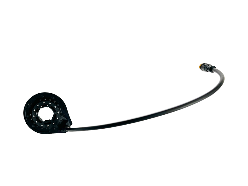 Sensor