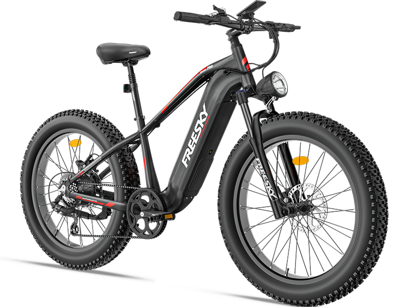 Used eBike